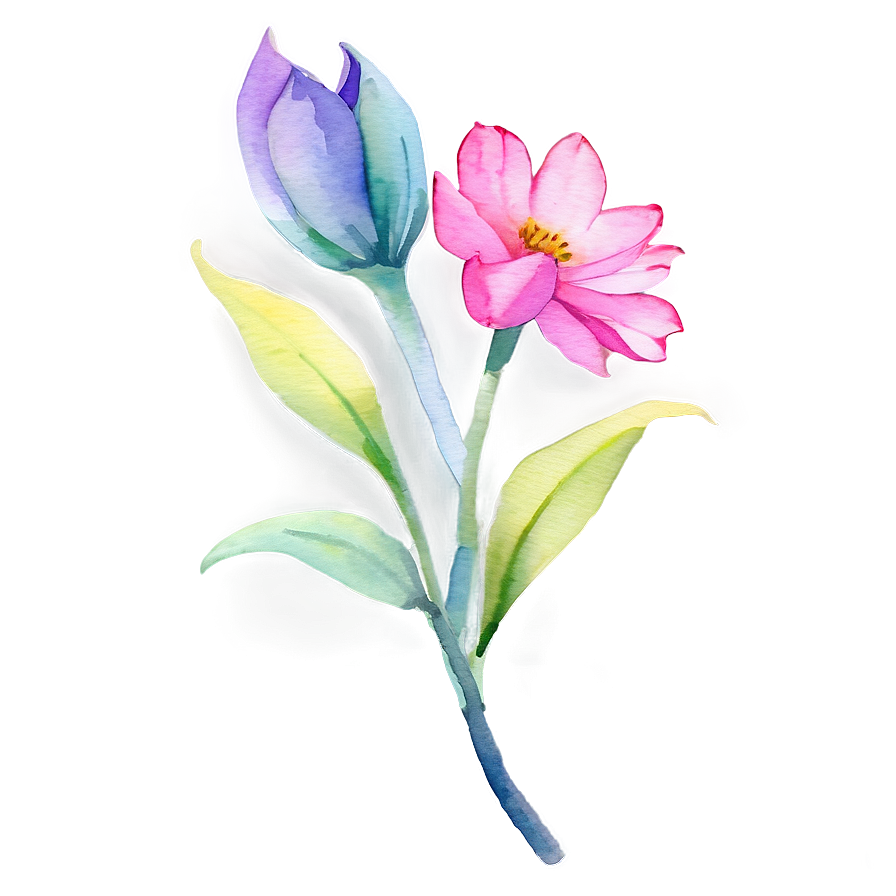 Watercolor Flower Transparent Png 05252024