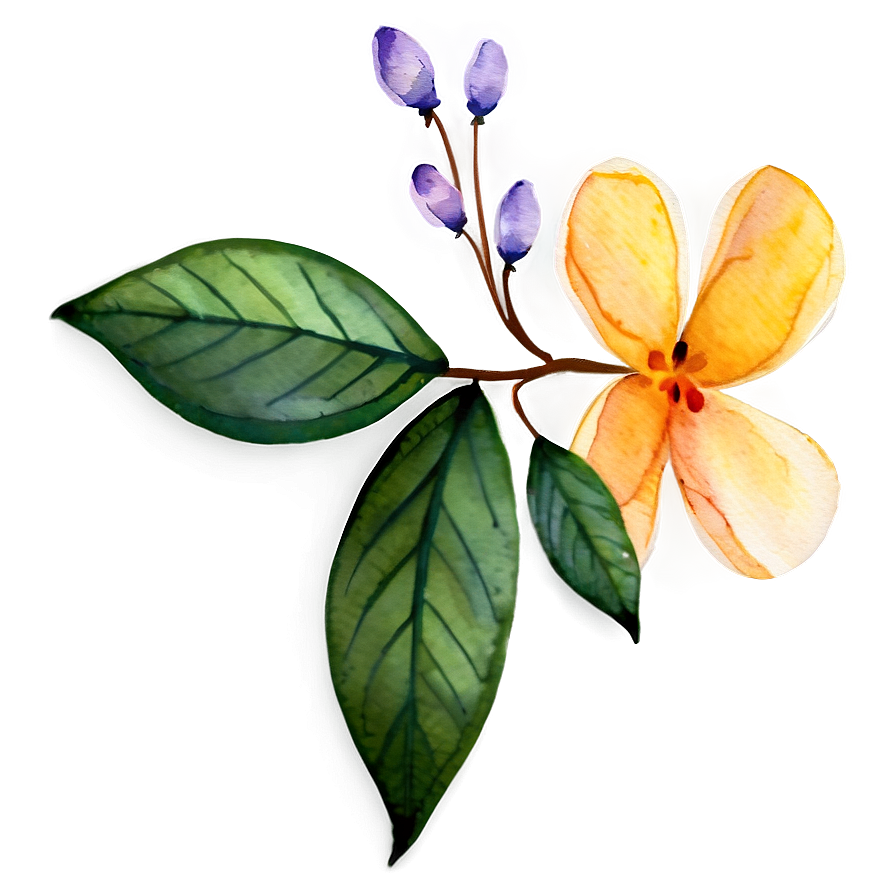 Watercolor Flower Transparent Png Evr