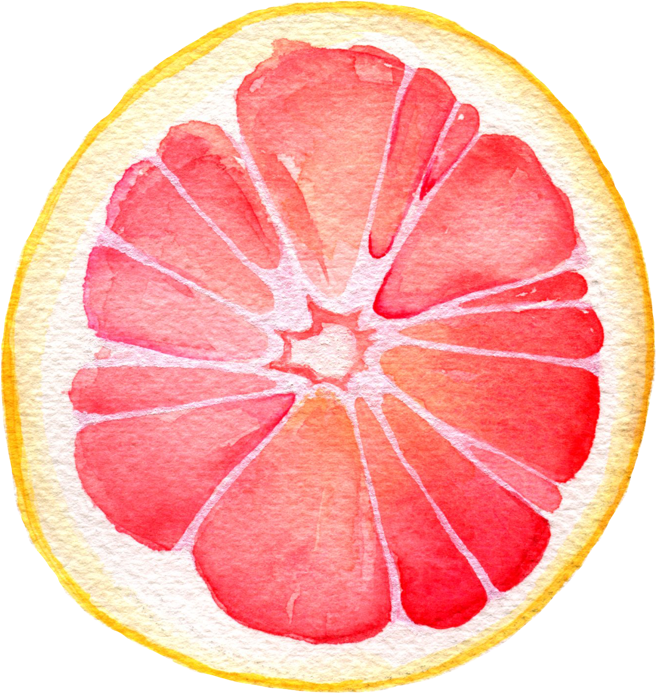 Watercolor Grapefruit Slice