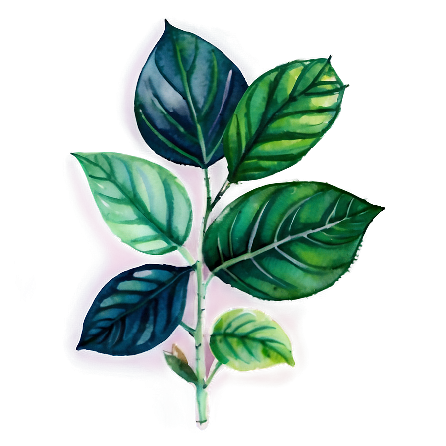 Watercolor Herbal Leaves Png 6
