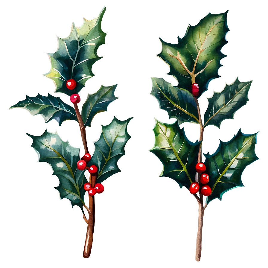 Watercolor Holly Png 05252024