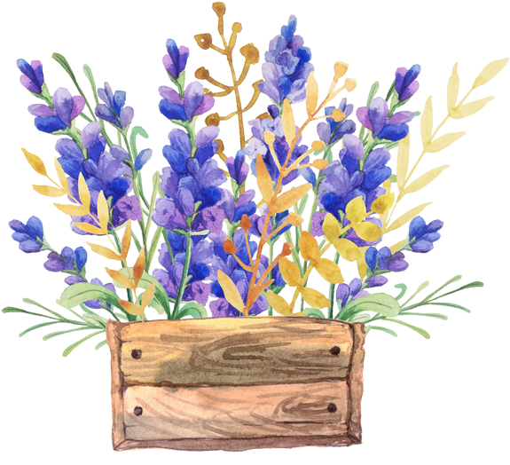 Watercolor Lavenderin Wooden Box