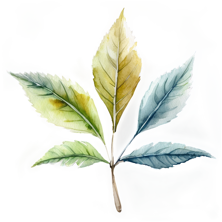 Watercolor Leaf Png 05032024