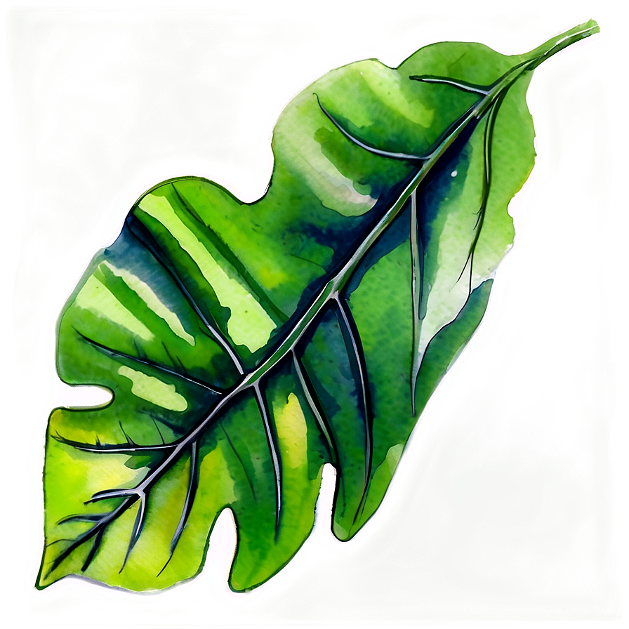 Watercolor Leaf Png 05032024