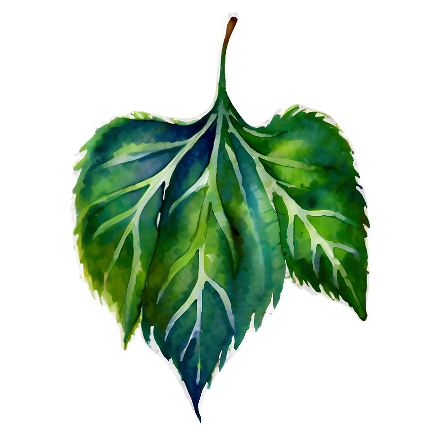 Watercolor Leaf Png Lpi