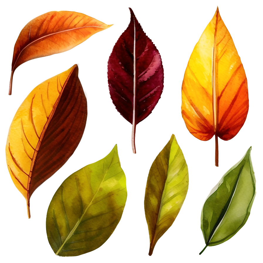 Watercolor Leaves Png Eik