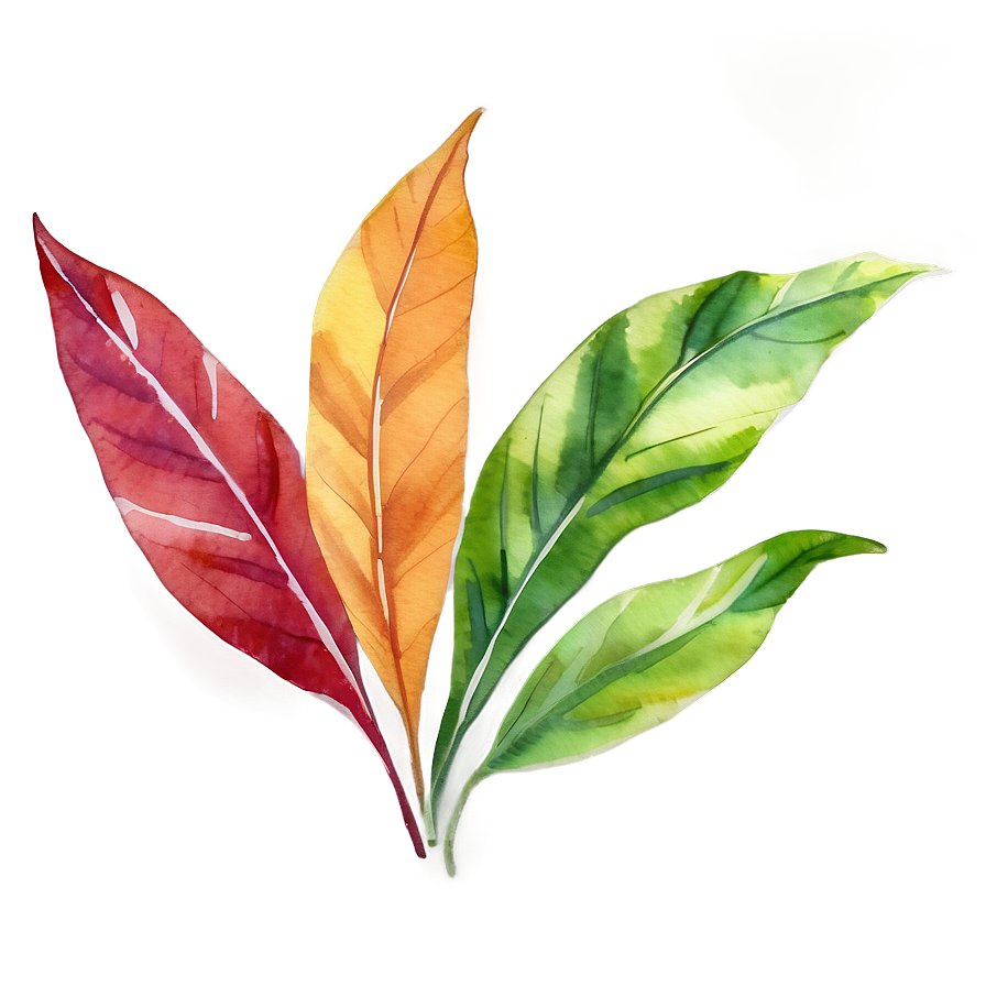 Watercolor Leaves Png Huu47