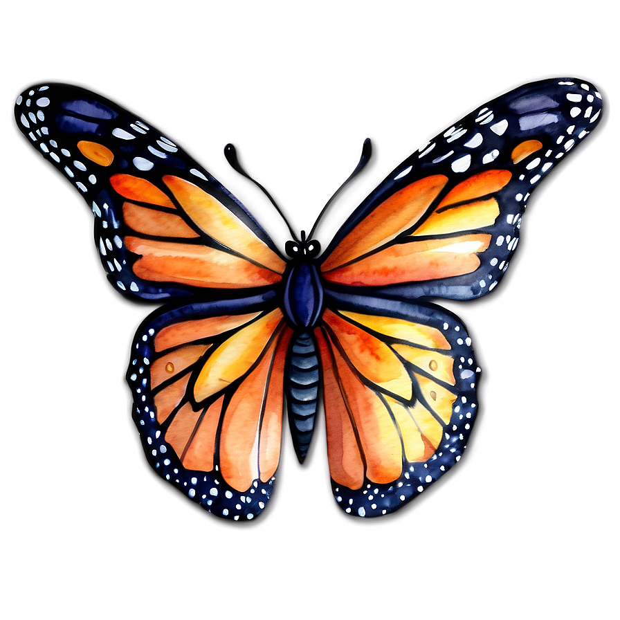 Watercolor Monarch Butterfly Png 80