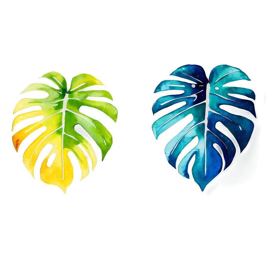 Watercolor Monstera Leaf Png 05232024