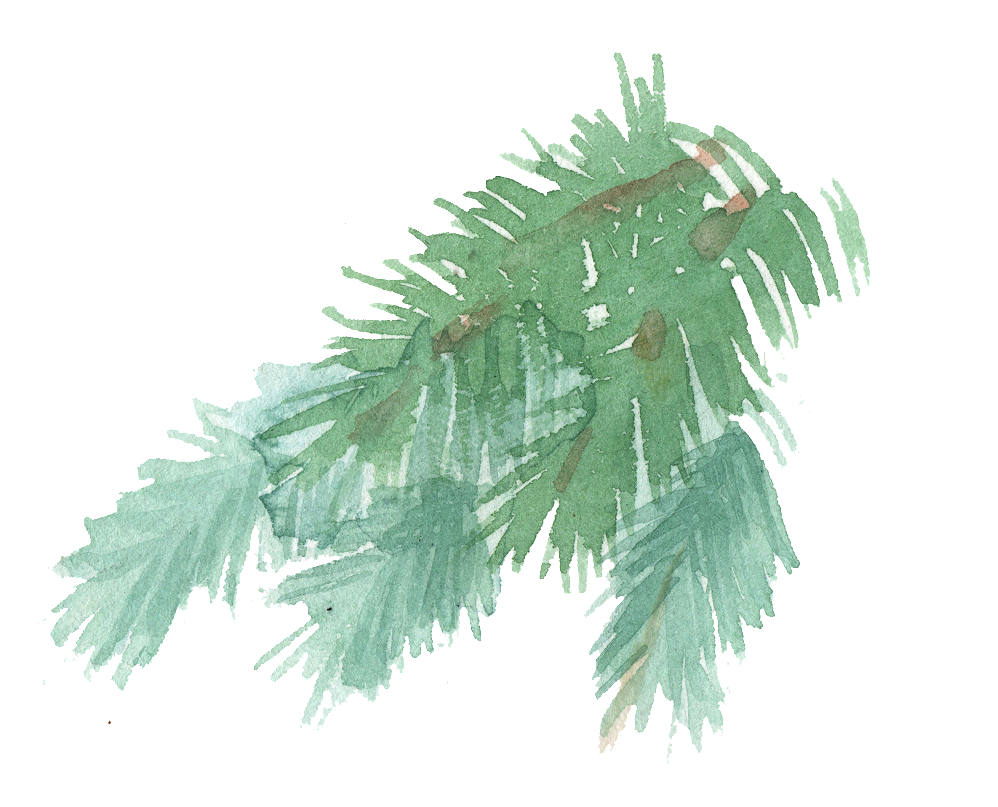 Watercolor Palm Leaves Illustration