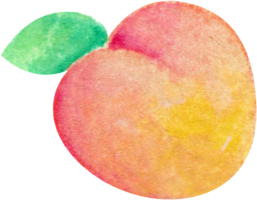 Watercolor Peach Illustration.png