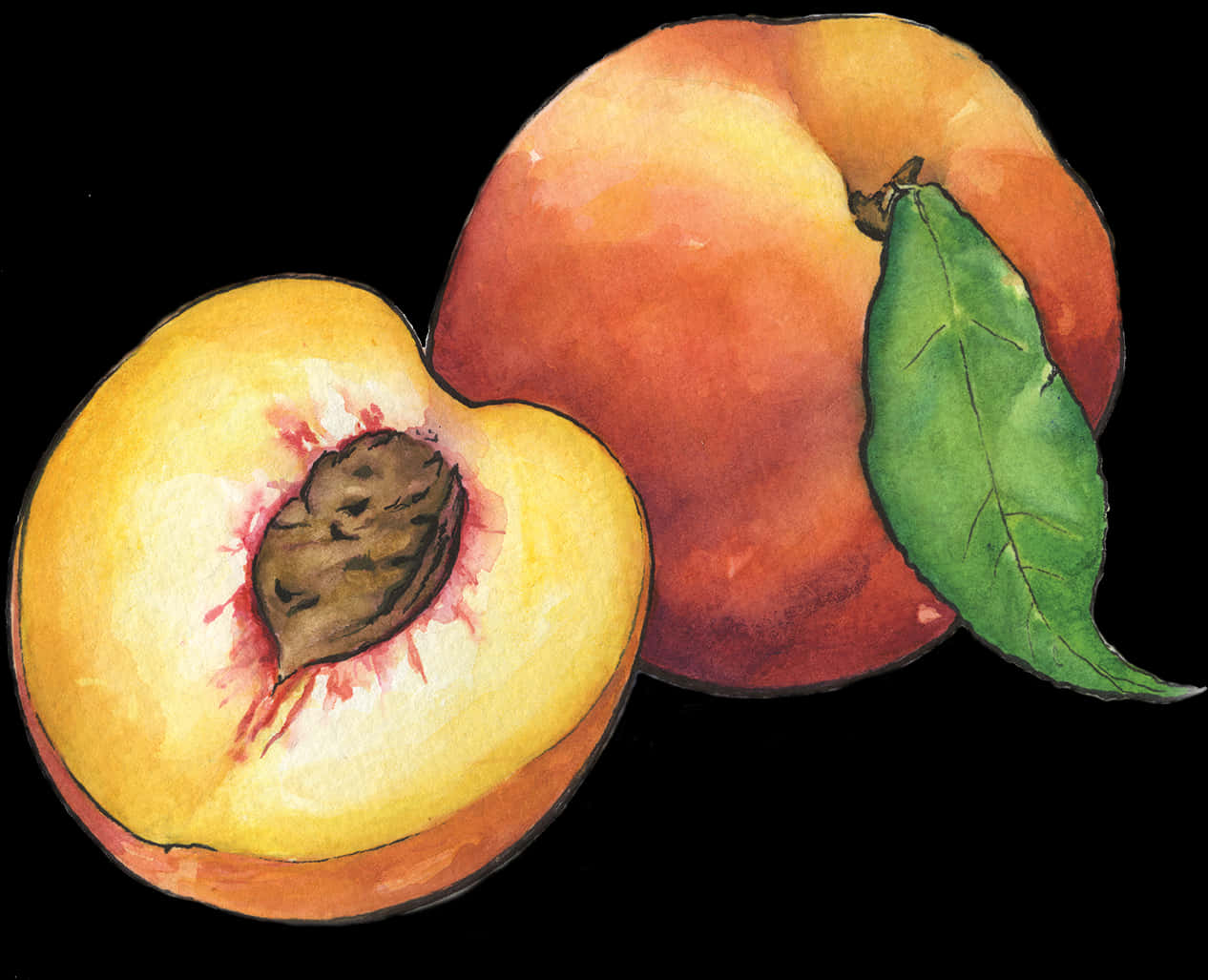 Watercolor Peaches Artwork