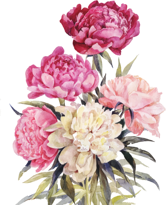 Watercolor Peony Bouquet