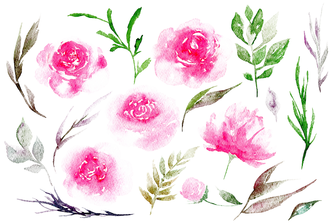 Watercolor Peony Floral Elements