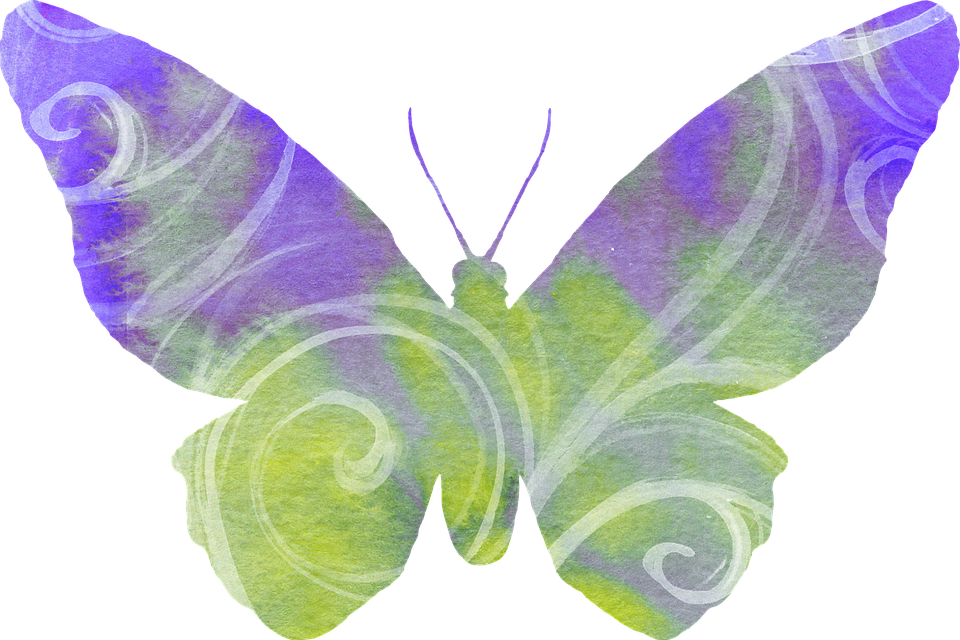 Watercolor Purple Green Butterfly