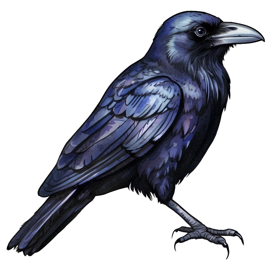 Watercolor Raven Png 77