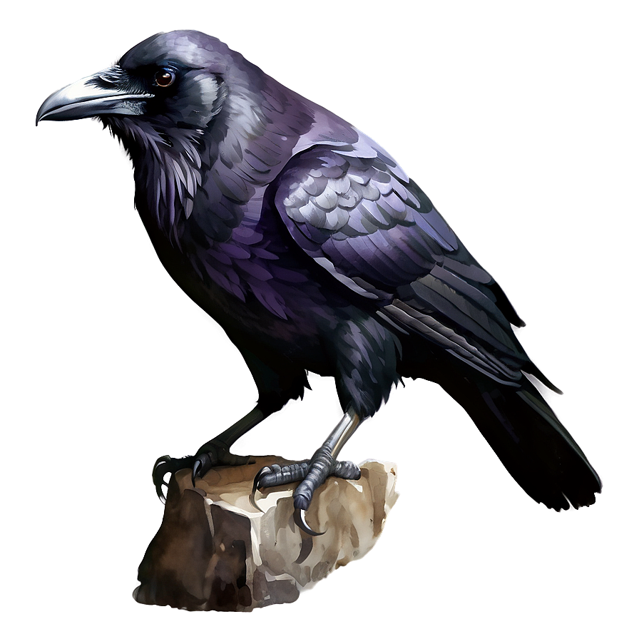 Watercolor Raven Png 97