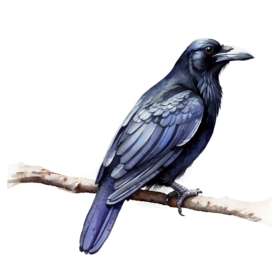 Watercolor Raven Png Mex62