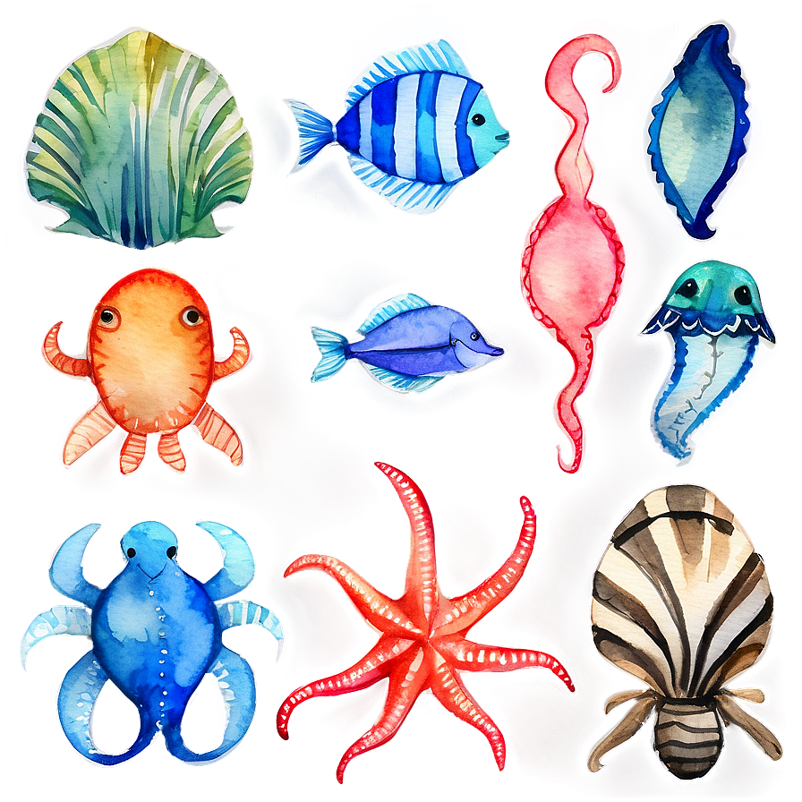 Watercolor Sea Creatures Png Ebs