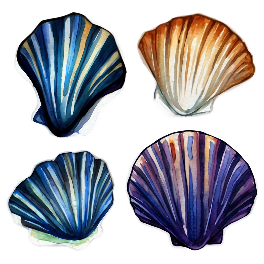 Watercolor Seashell Clipart Png 06262024