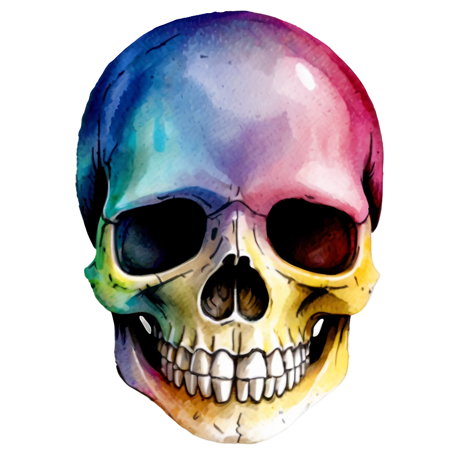 Watercolor Skull Painting Png D