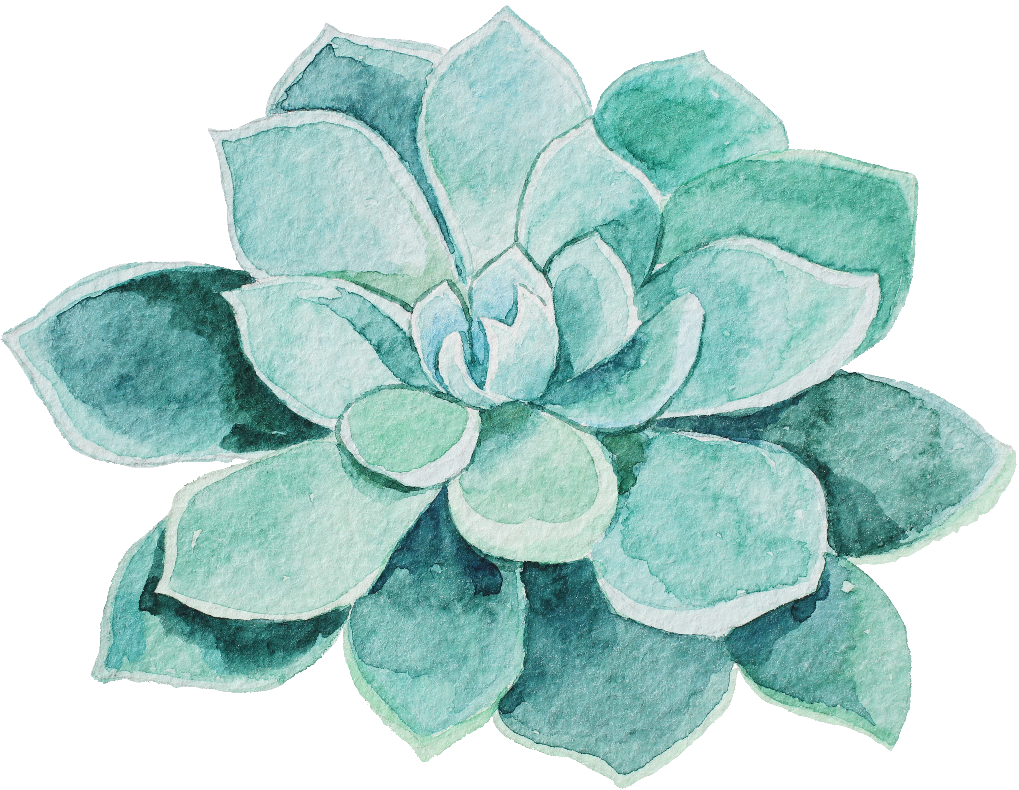 Watercolor Succulent Artwork