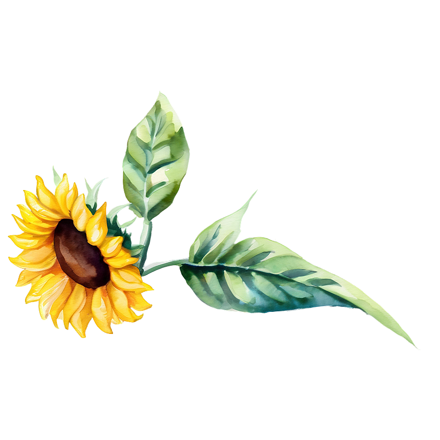 Watercolor Sunflower Transparent Png Cpi49