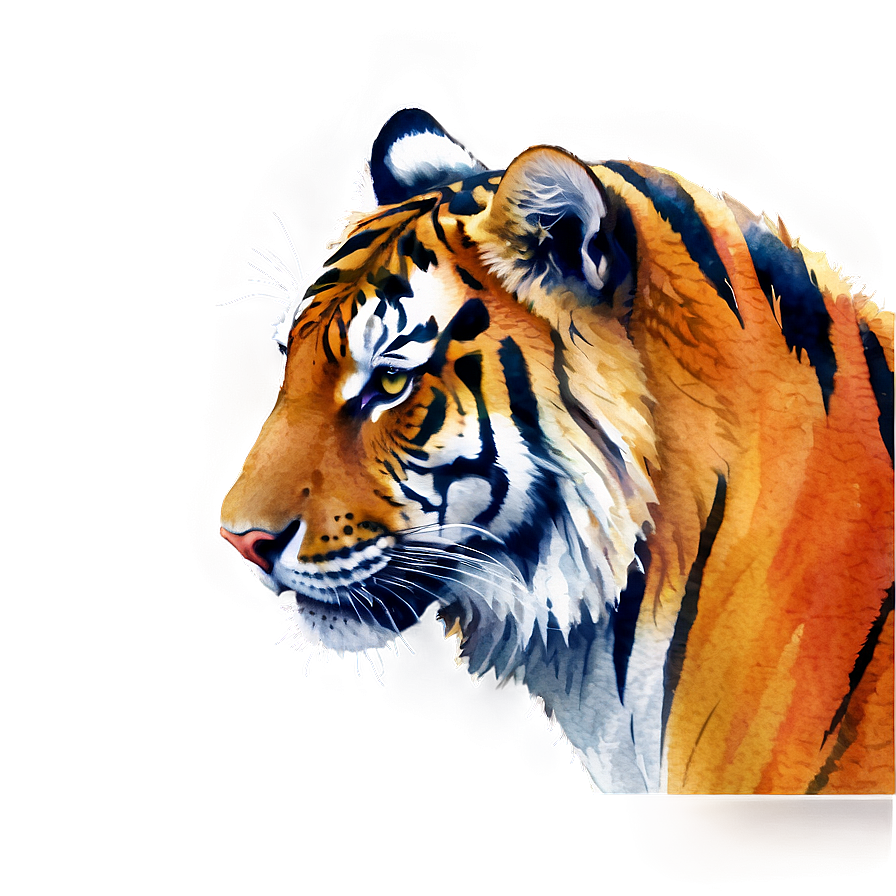 Watercolor Tiger Png 68