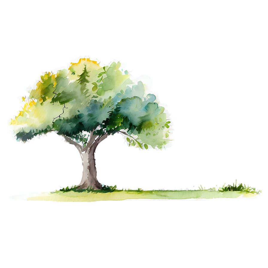 Watercolor Tree Elevation Png Bcc