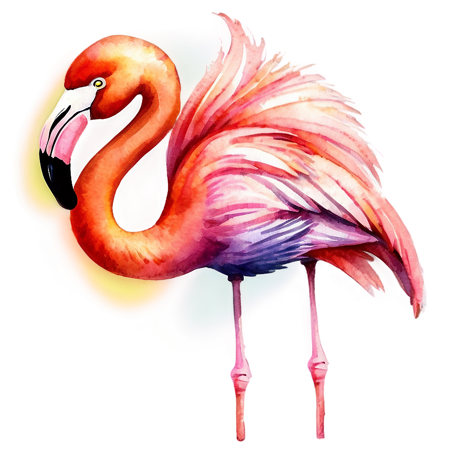 Watercolor Tropical Flamingo Png 06272024