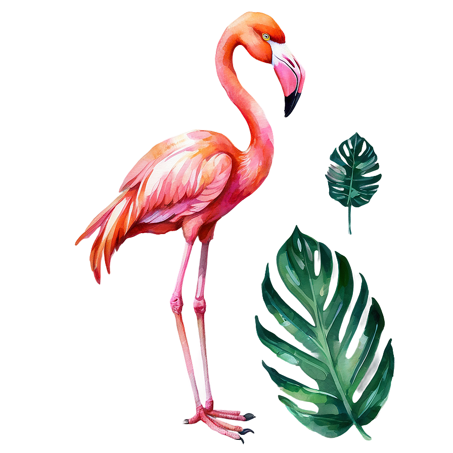 Watercolor Tropical Flamingo Png Ohn