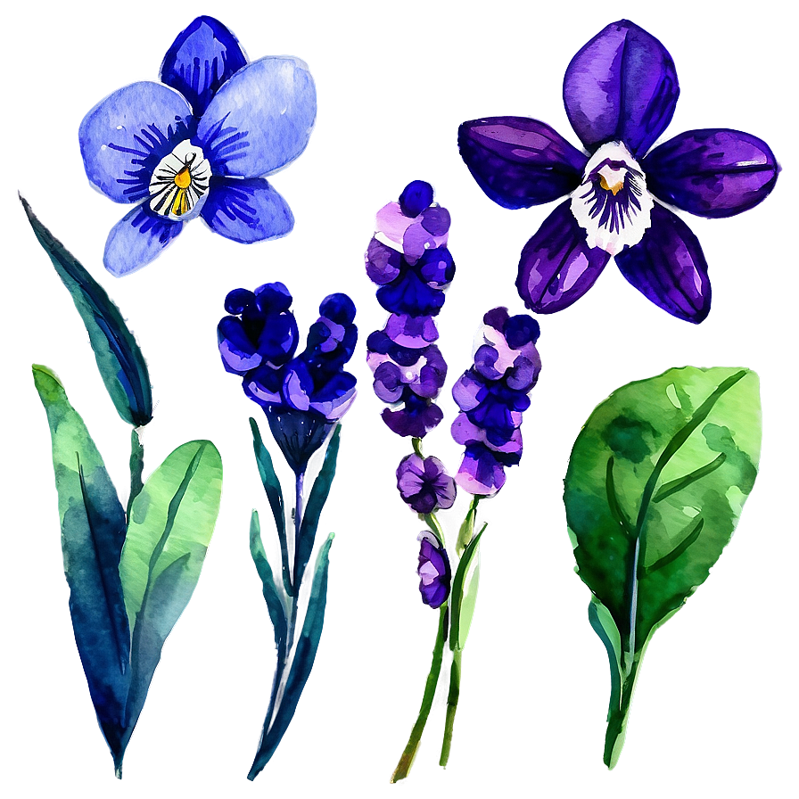 Watercolor Violet Flowers Png 65