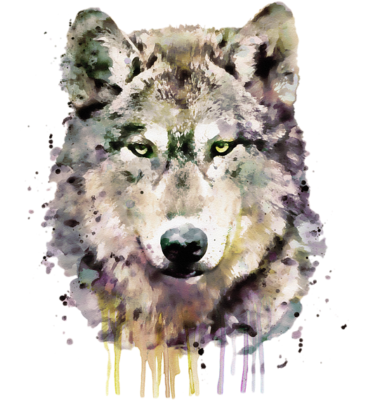 Watercolor Wolf Portrait