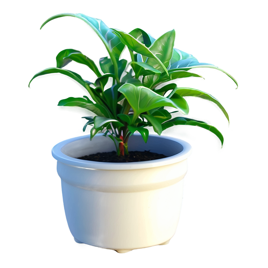 Watering Hanging Plant Png 63