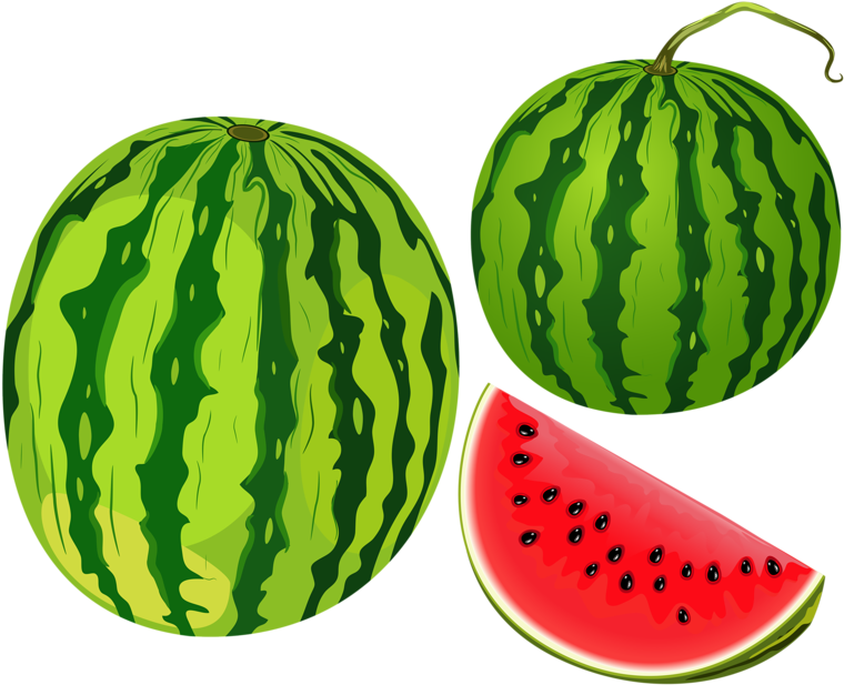 Watermelonsand Slice Illustration