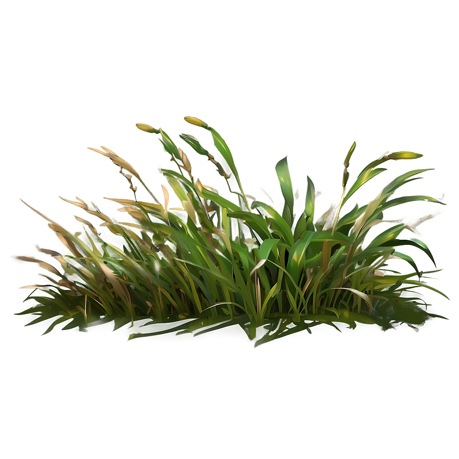 Weathered Grass Png Juq