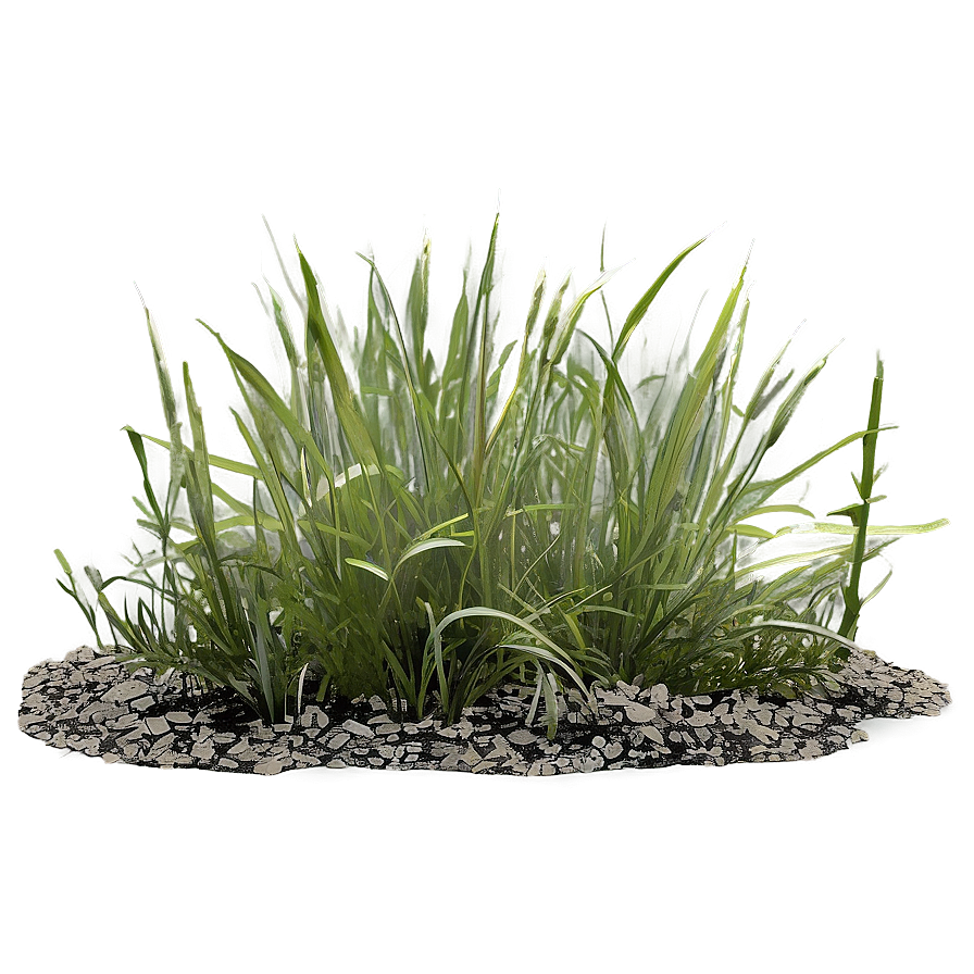 Weathered Grass Png Ttm32