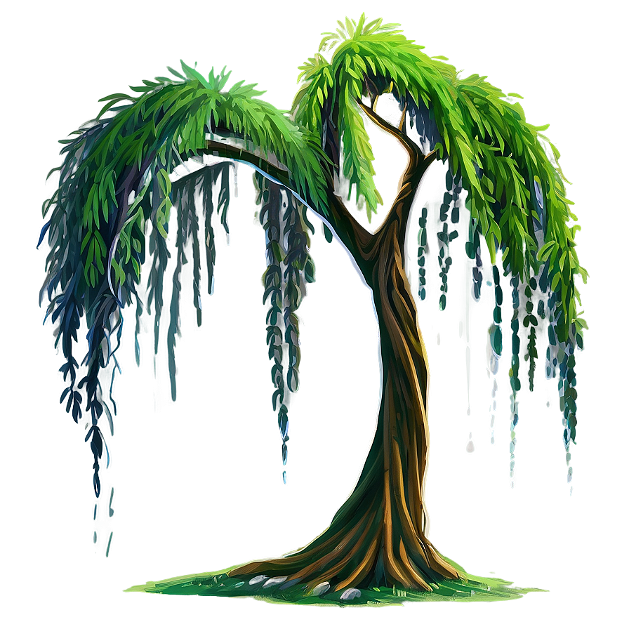 Weeping Willow Drawing Png 17
