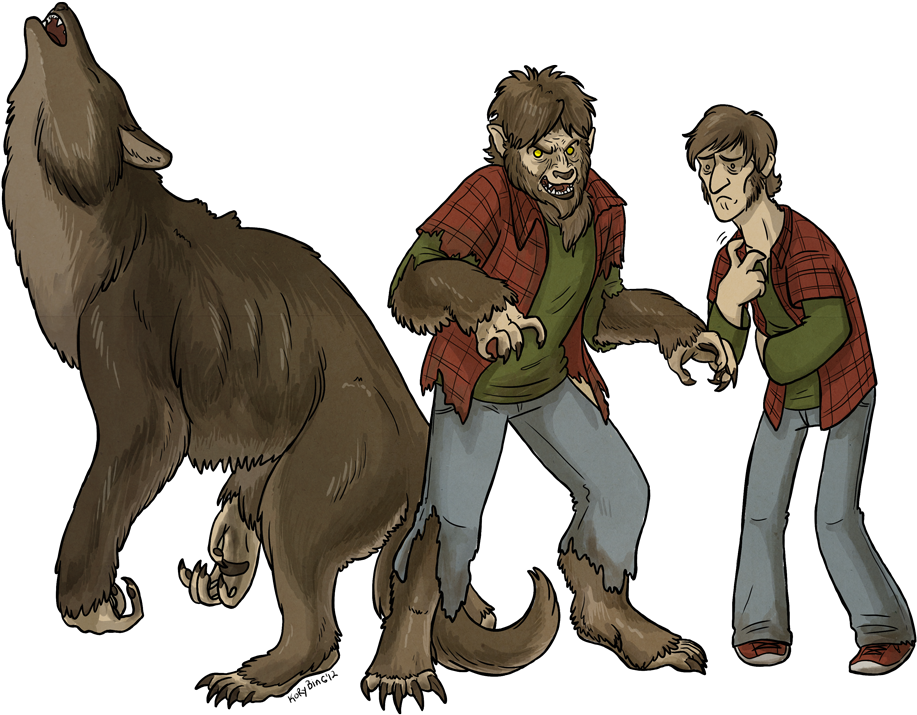 Werewolf Transformation Stages Illustration