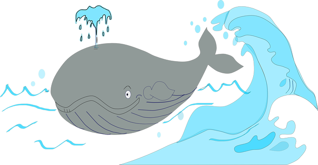 Whale_ Nighttime_ Swim_ Illustration