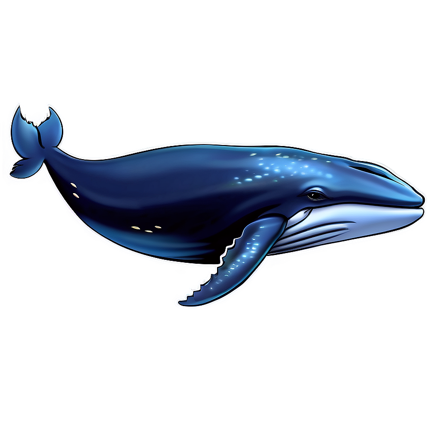 Whale Underwater Png 81