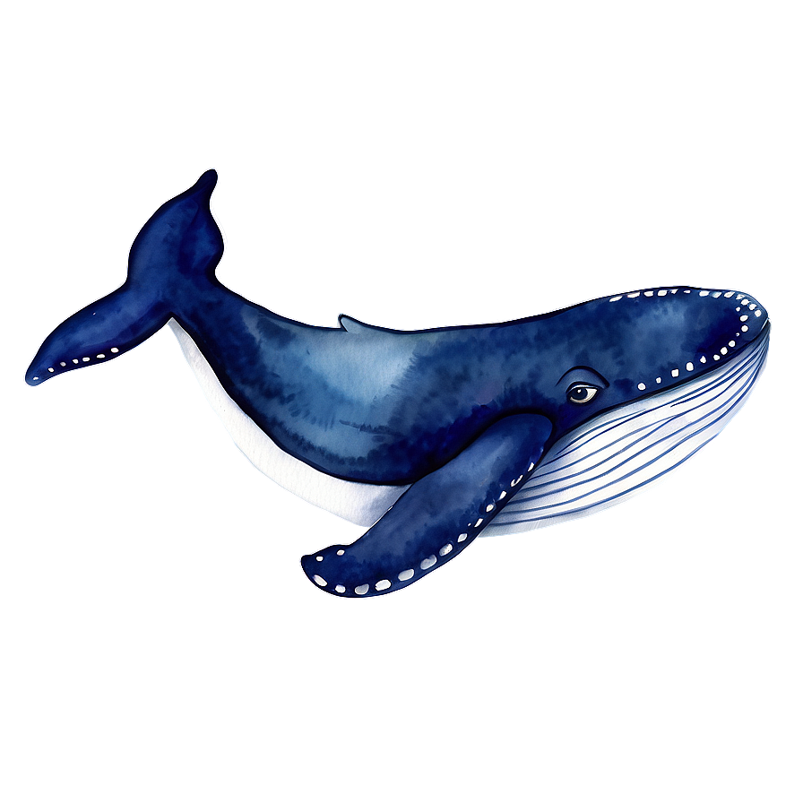 Whale Watercolor Png Qdu