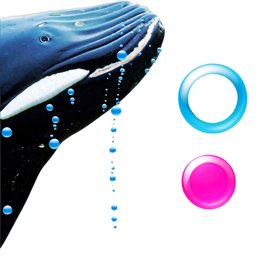 Whale With Bubbles Png Mrc91