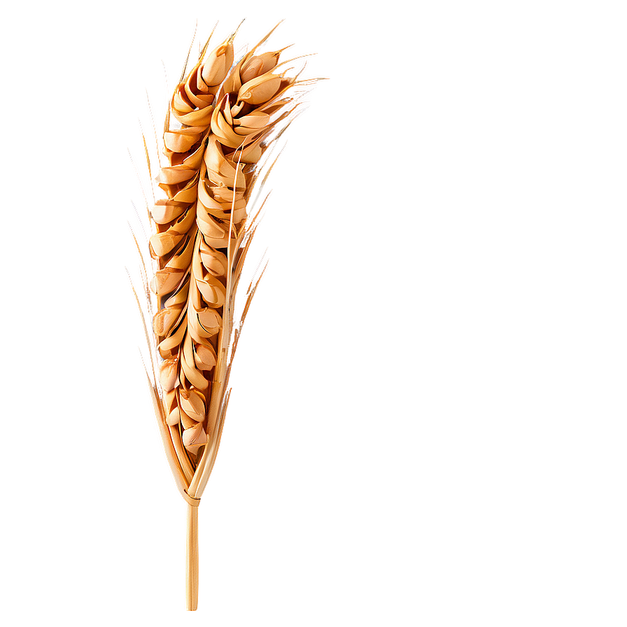 Wheat And Bread Png Vgm85