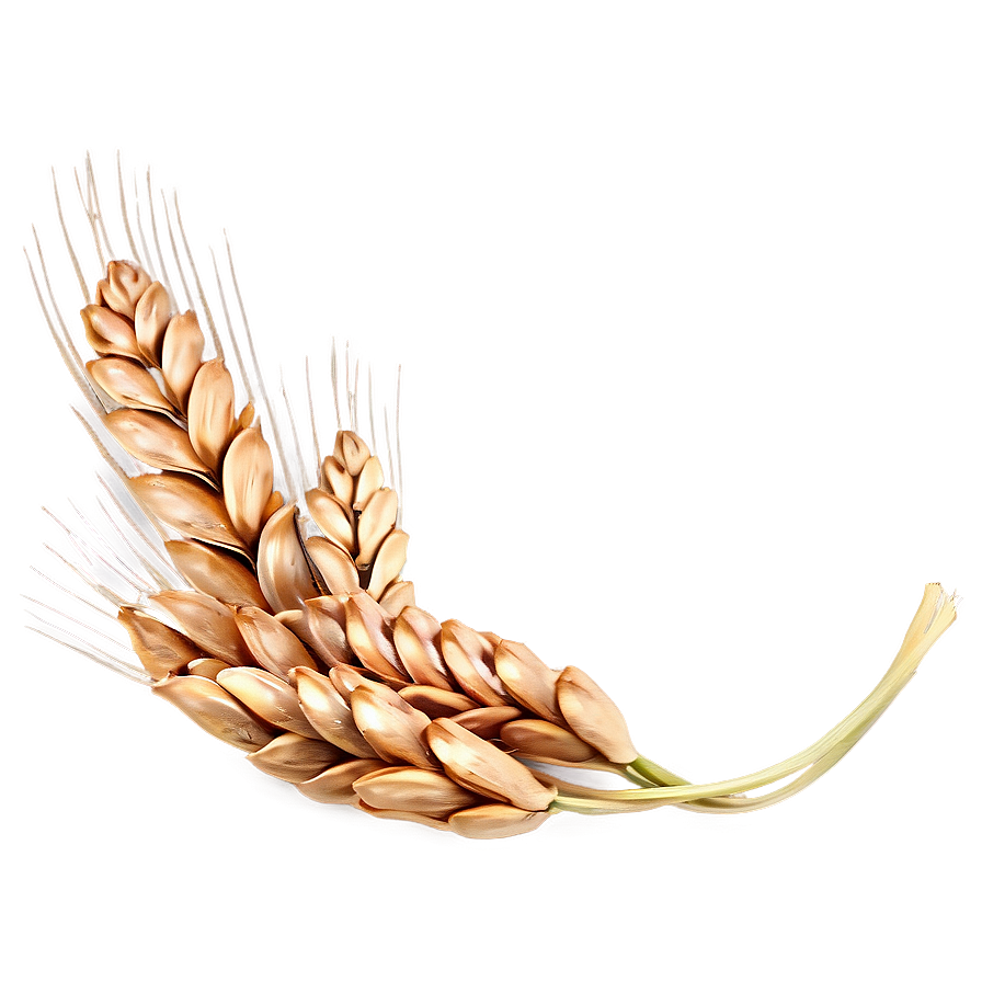 Wheat Seed Bag Png Ycj45