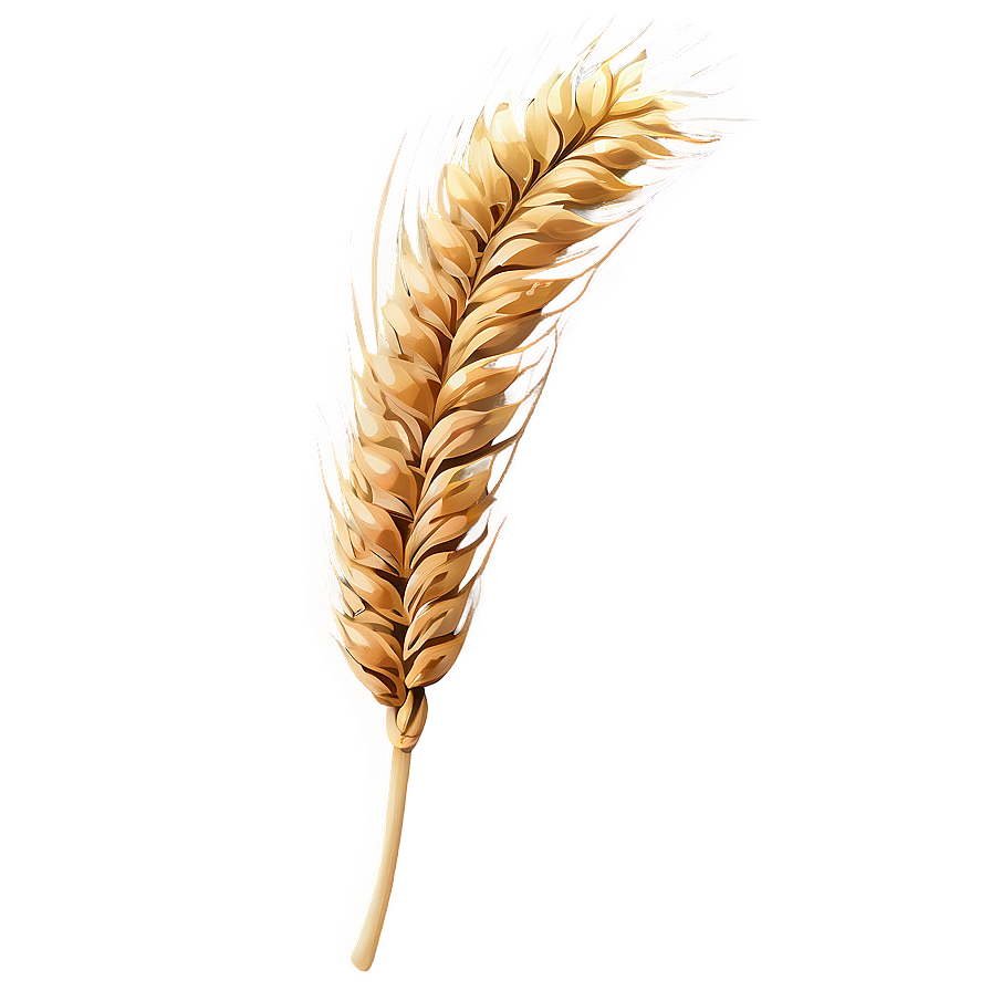 Wheat Silhouette At Dusk Png Ree22