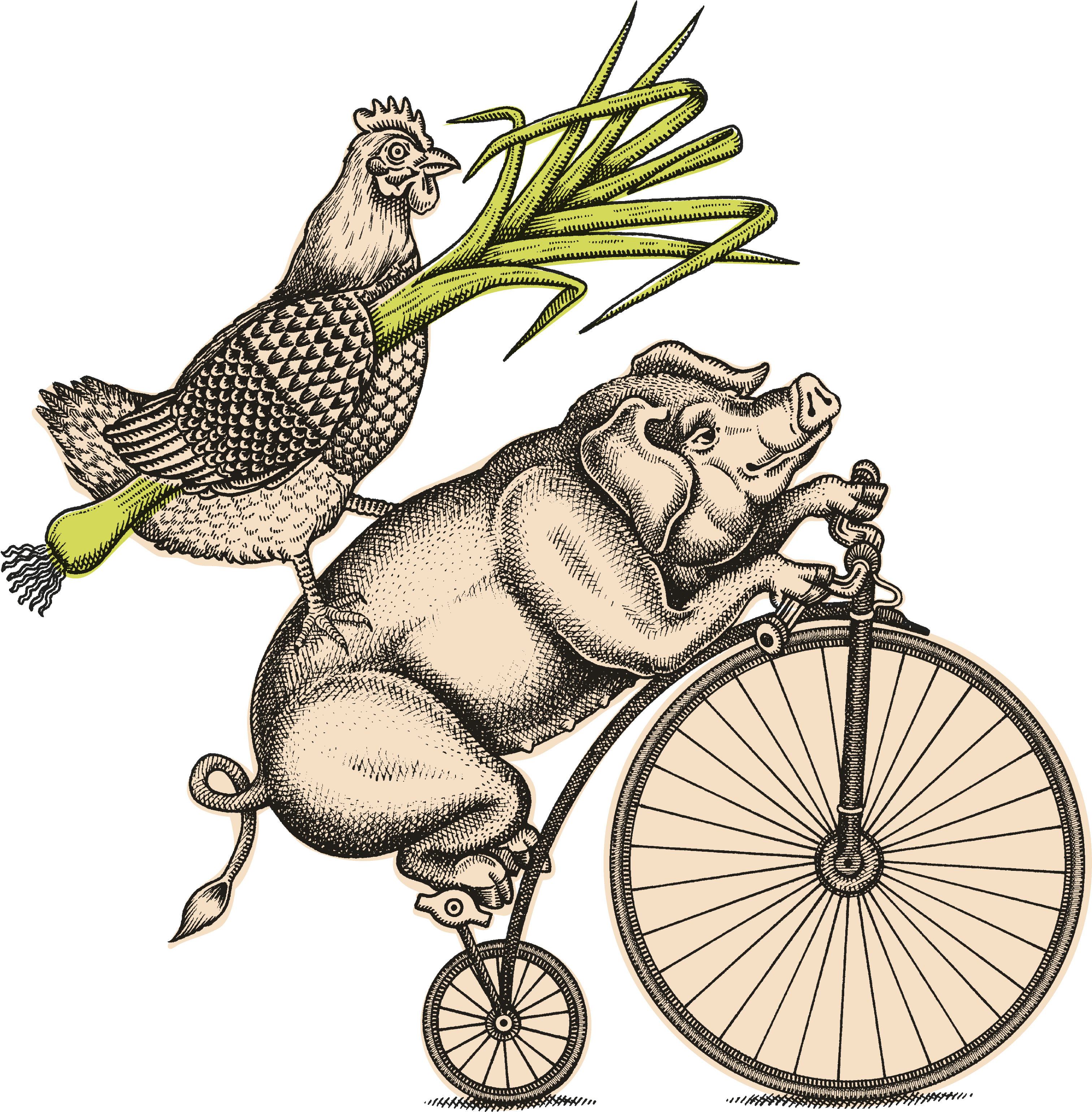 Whimsical Hippoand Chickenon Bicycle Leek Flight