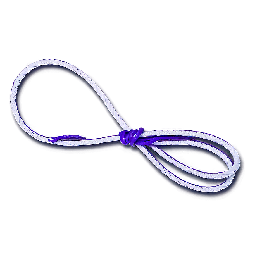 Whip For Show Png 36