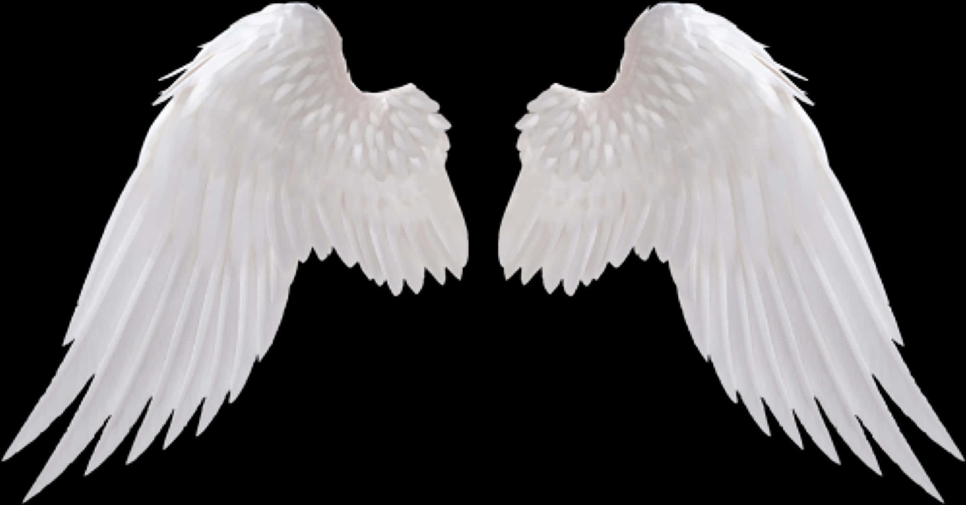 White Angel Wings Black Background