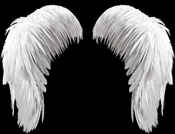 White Angel Wings Black Background